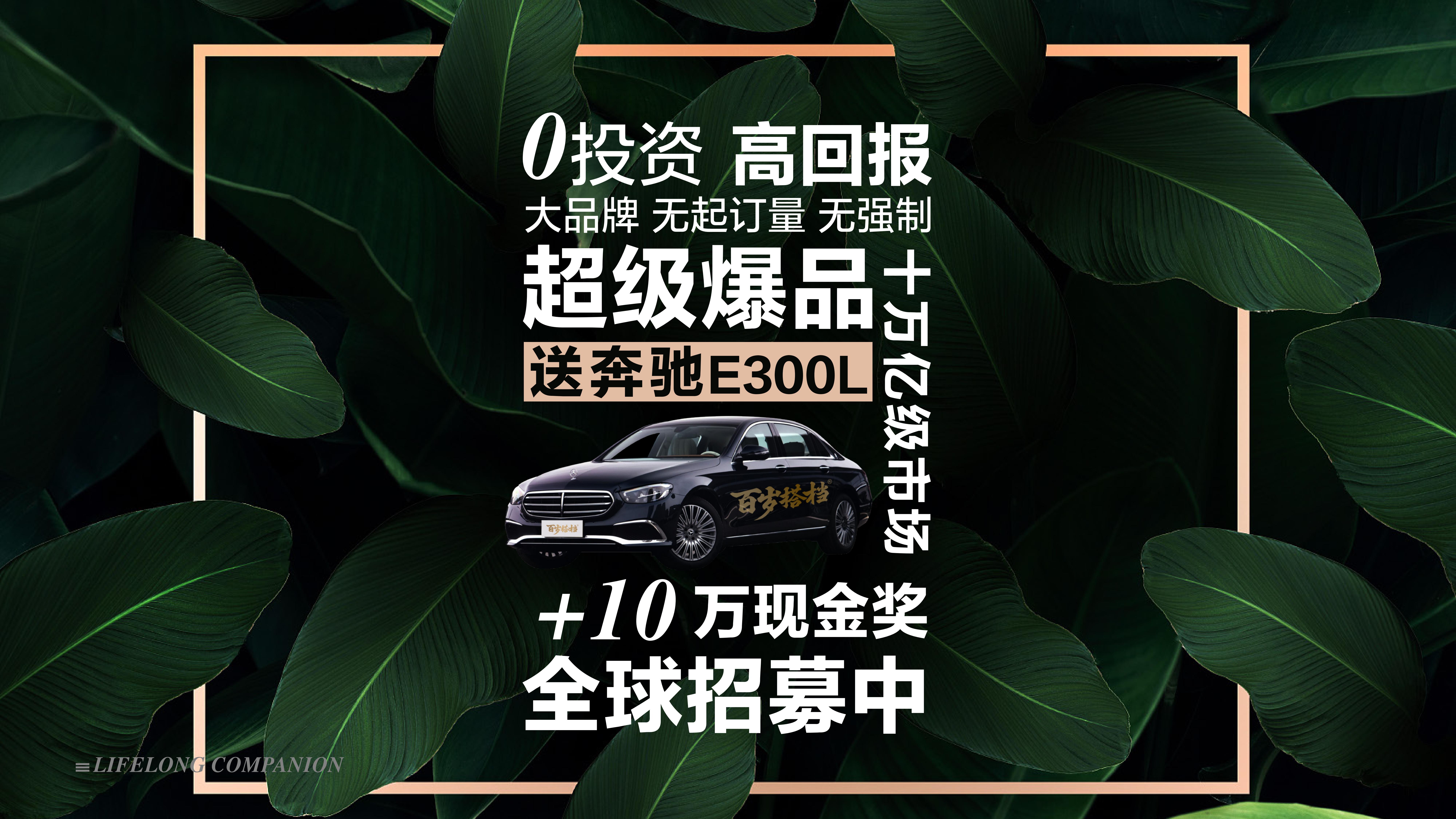 百歲搭檔龍腦液會(huì)務(wù)版（內(nèi)部版禁止外發(fā)）_01.jpg